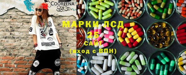 хмурый Бородино