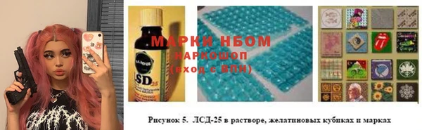 сатива Бронницы