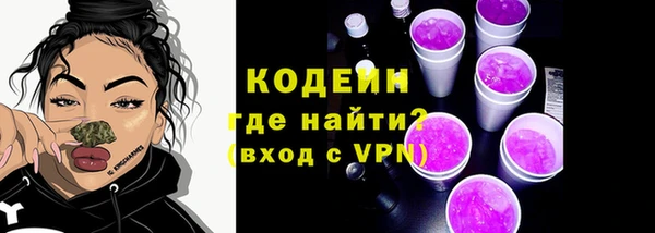 хмурый Бородино