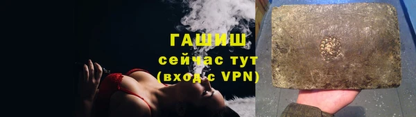 хмурый Бородино