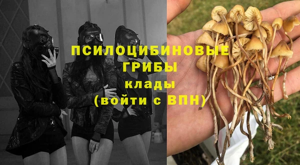 хмурый Бородино