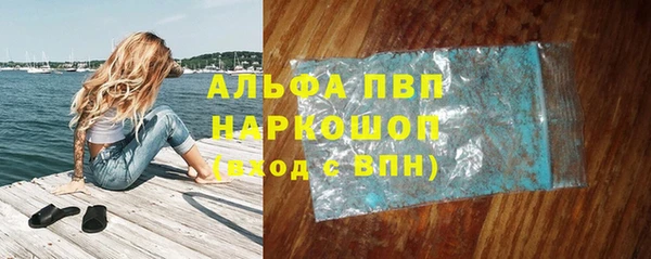 сатива Бронницы