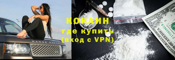 сатива Бронницы